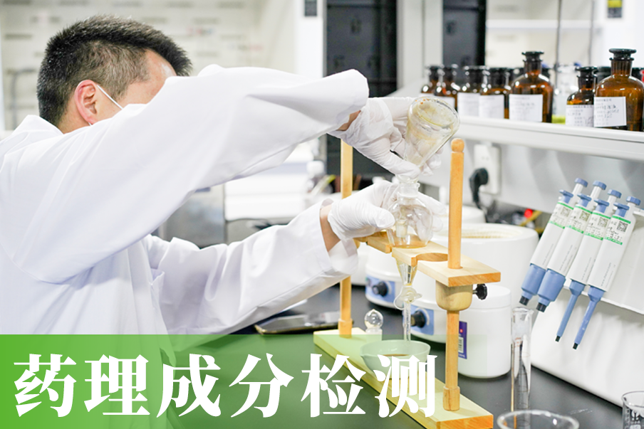 实验照片